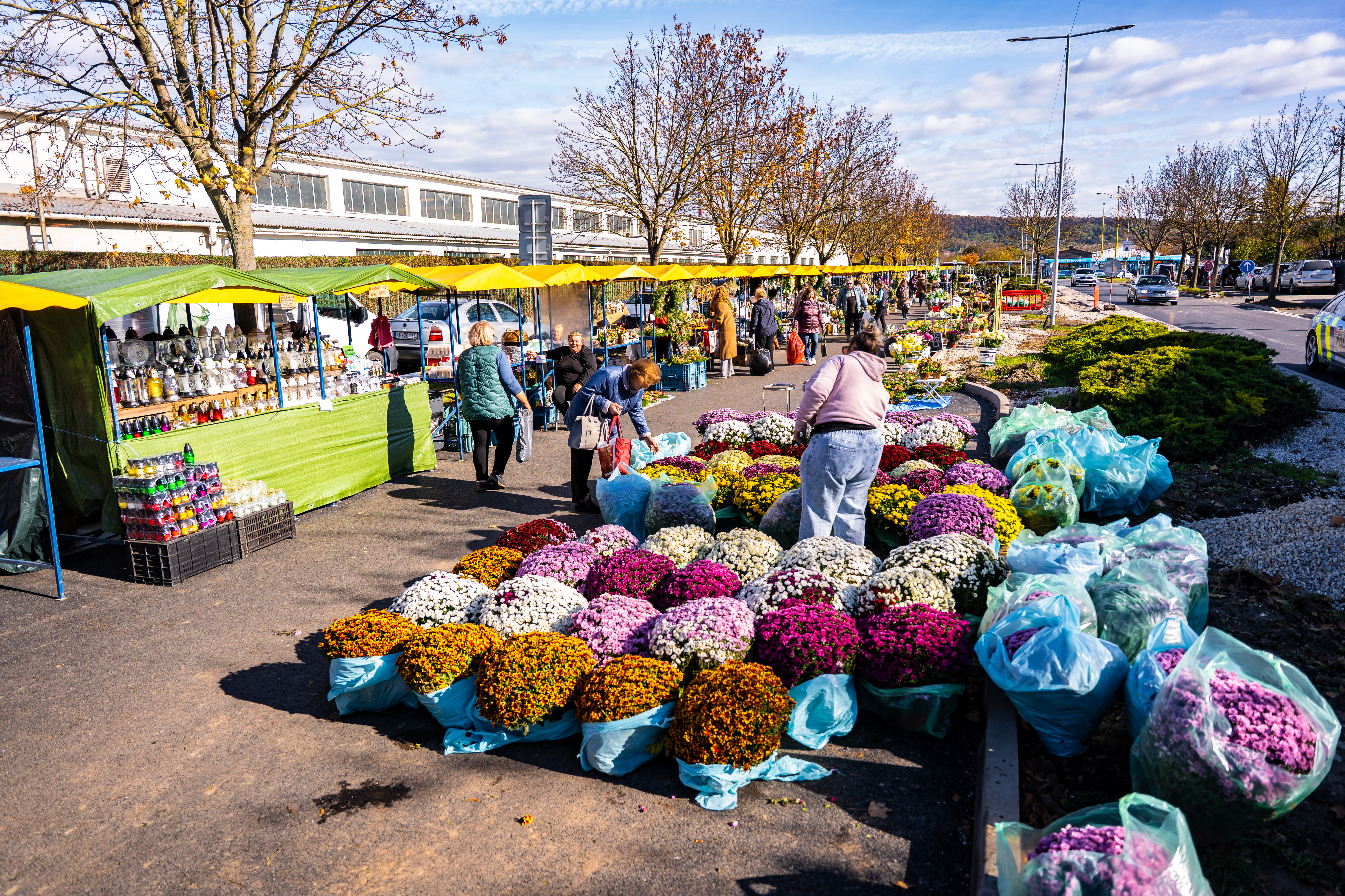 Tlacovi brifing - Verejny cintorin-10